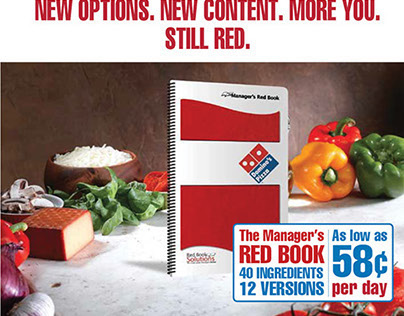 Direct Mail: Domino's Brochure