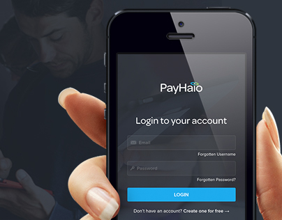 PayHalo User Interface