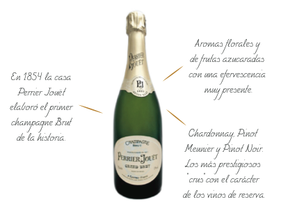 Diseño carta de champagne