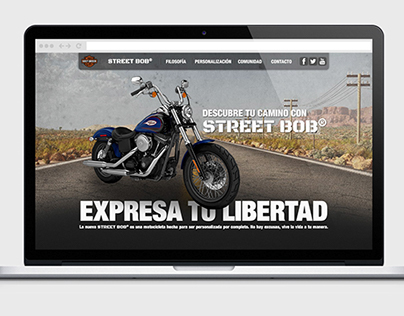 Harley Davidson Street Bob - Concept site