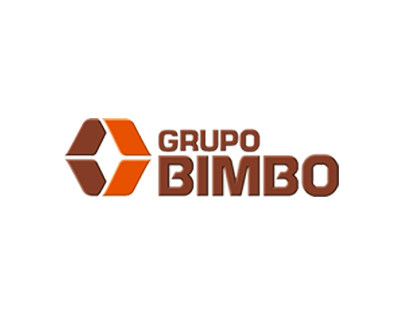 Grupo BIMBO     Líder Funcional/Diseñador/Ilustrador