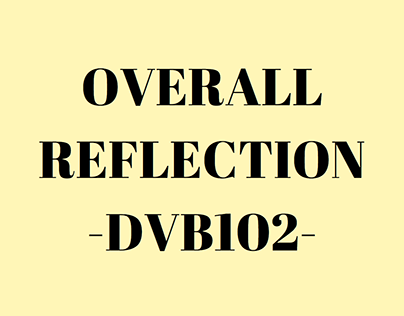 Overall Reflection-DVB102