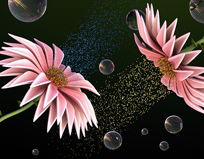 3D Flower Motion Design