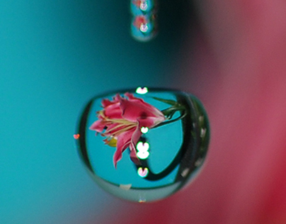 Split Second Water Drop Refraction Photography