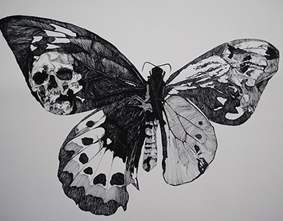Male/Female Butterfly