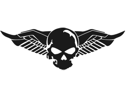 Flying Skull Logo