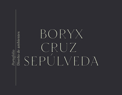 Portafolio Boryx Cruz S