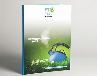 Metrogas 2013 Annual Report