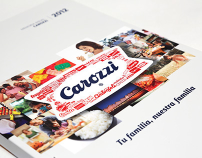 Carozzi Annual Report 2012