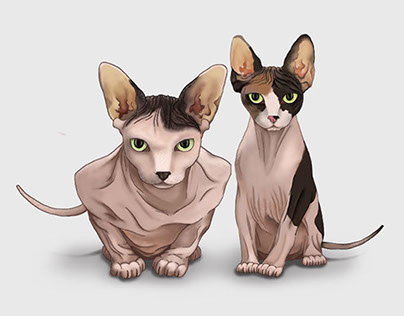 Sphinxes Cats