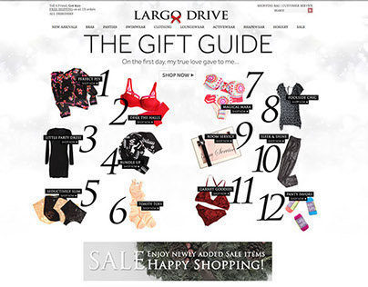 THE GIFT GUIDE