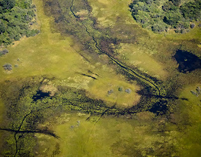 Okavango, a bird's eye view