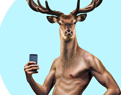 Deer selfie