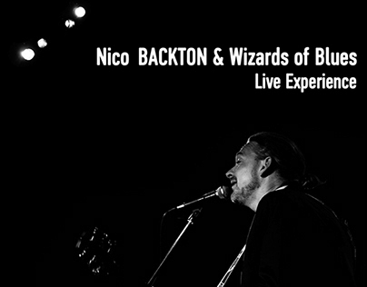 Down in Mexico - Nico BACKTON & Wizards of Blues Live