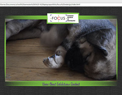 Focus Website