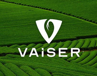 VAISER - Brand Identity