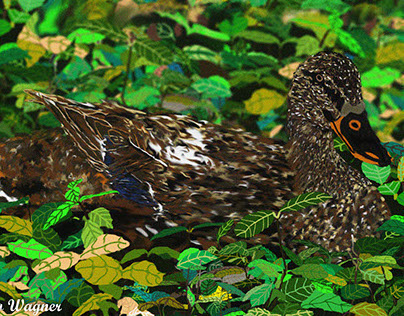 Nesting Female Mallard Duck Painting