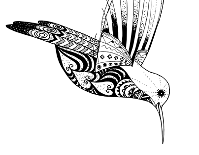 Illustration de colibri / Hummingbird Illustration