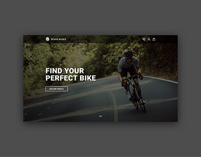 Roar Bikes Web Design