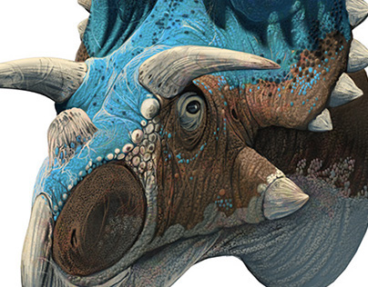 New Ceratopsian Dinosaurs, head reconstructions