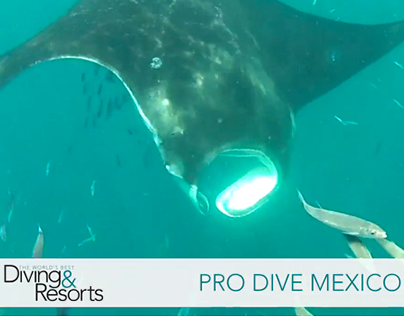 Pro Dive Mexico WBDR Video