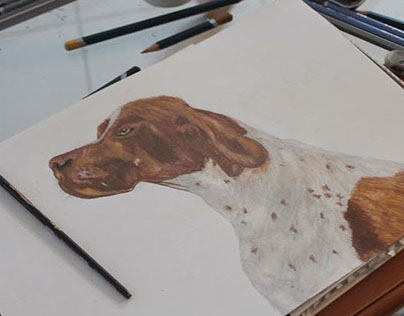 drawin hound