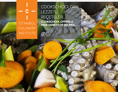 Istanbul Culinary Institude web site design