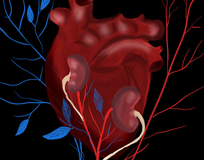Heart and kidneys