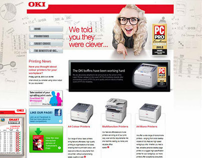 Email campaign project, landing micro-site, webdesign