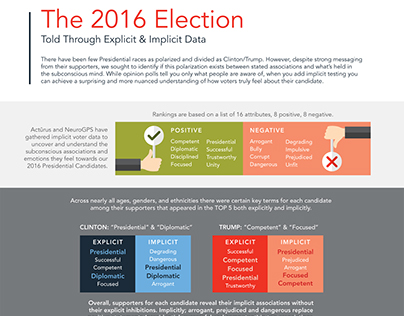 2016 Election Infographic