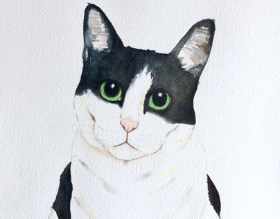 Custom watercolor pet portraits