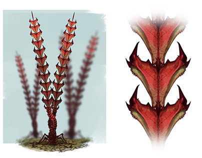 Alien Plant Details