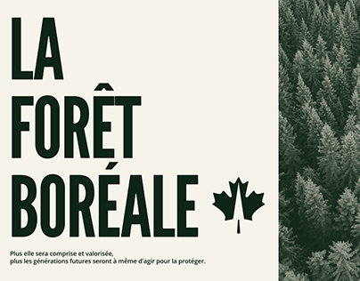 Charte graphique de la forêt boréale canadienne