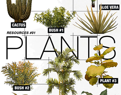 PLANTS RESOURCES #01