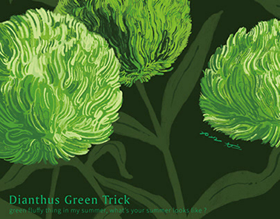 Green Trick Dianthus