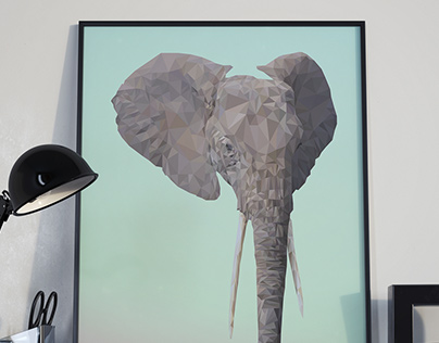Joli Elephant, 2017