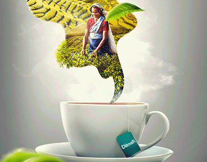 Dilmah Tea | Ceylon tea KVs