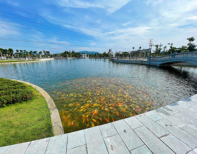Hồ cá Koi Danko City