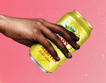 CANADA DRY - Proyecto
