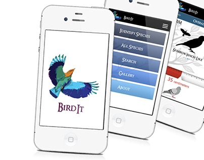 User Experience : Bird Recognition Application