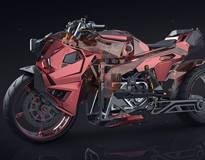 PAUK MOTORCYCLE DESIGN