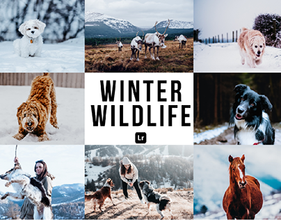 Winter wildlife presets