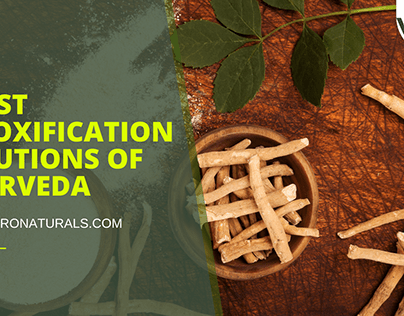 3 Best Detoxification Solutions of Ayurveda