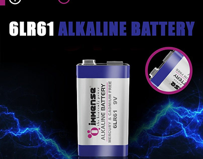 6 lr61 9v Alkaline Battery | Immense Power