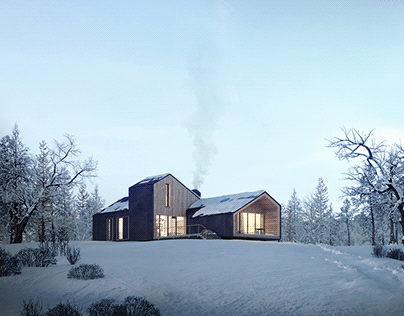 The project of a modular house. Render for So_Zdanie.