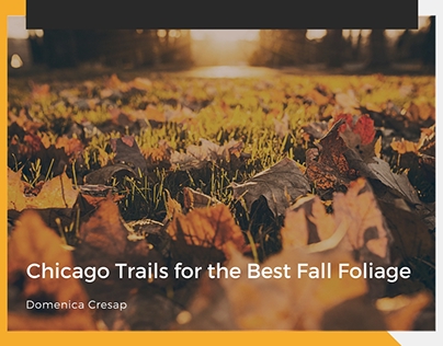 Chicago Trails for the Best Fall Foliage
