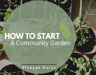 How to start a Community Garden