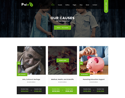 Pain - Charity & Fundraise Non-profit WordPress Theme