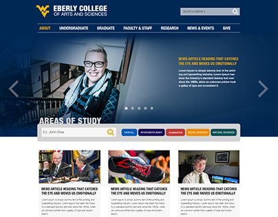 Concept for College Website