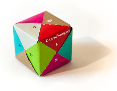 The International Origami Society